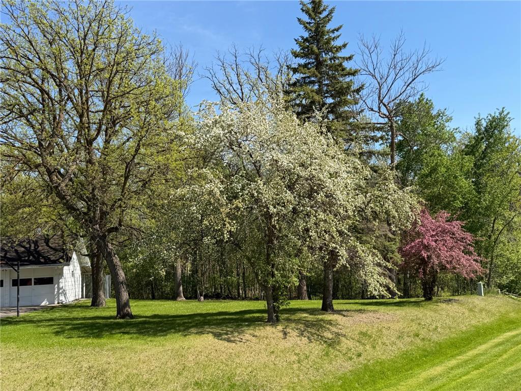 814 11th Avenue SE Roseau MN 56751 7082223 image44