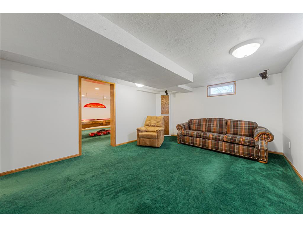 814 W Skaro Street Saint Peter MN 56082 7048558 image13
