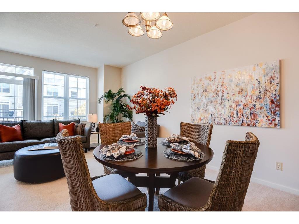 8141 Magnolia Lane N Maple Grove MN 55369 7005828 image13