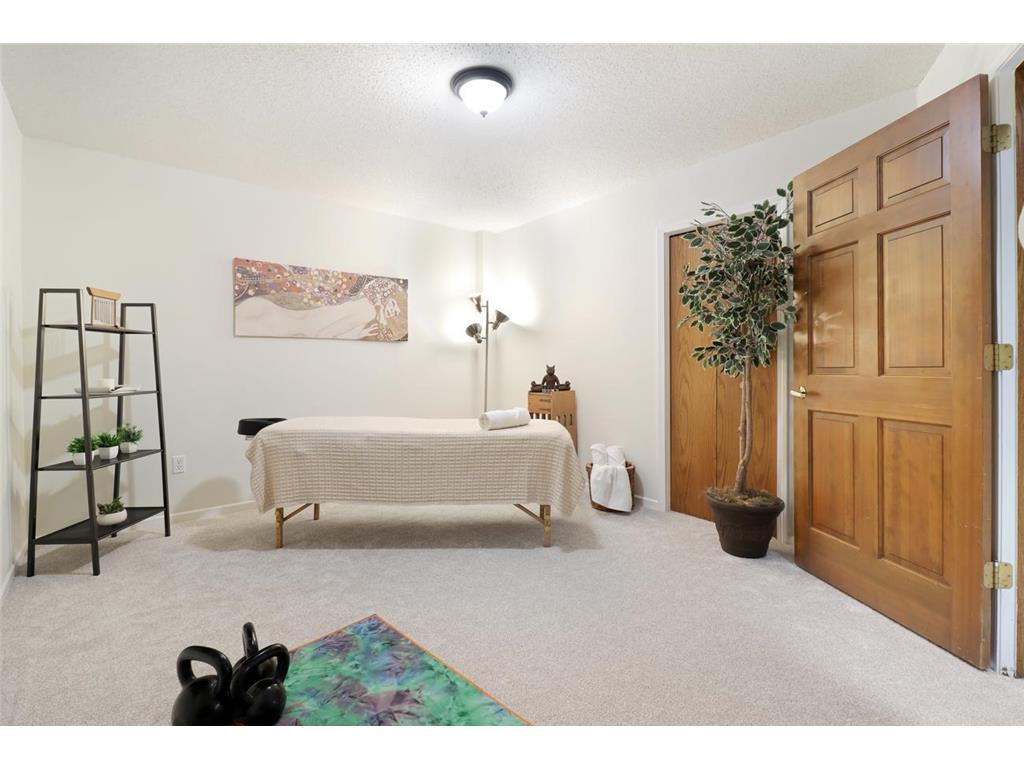 8141 Maplewood Terrace Chanhassen MN 55317 7079946 image35