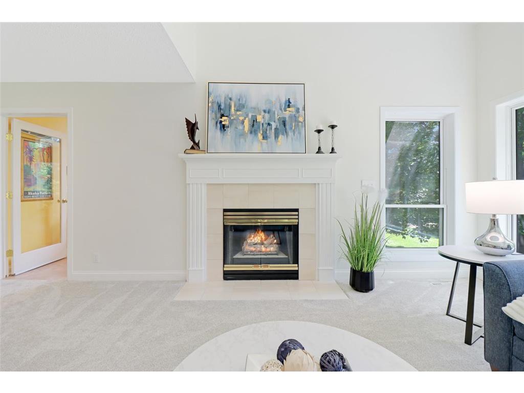 8141 Maplewood Terrace Chanhassen MN 55317 7079946 image9