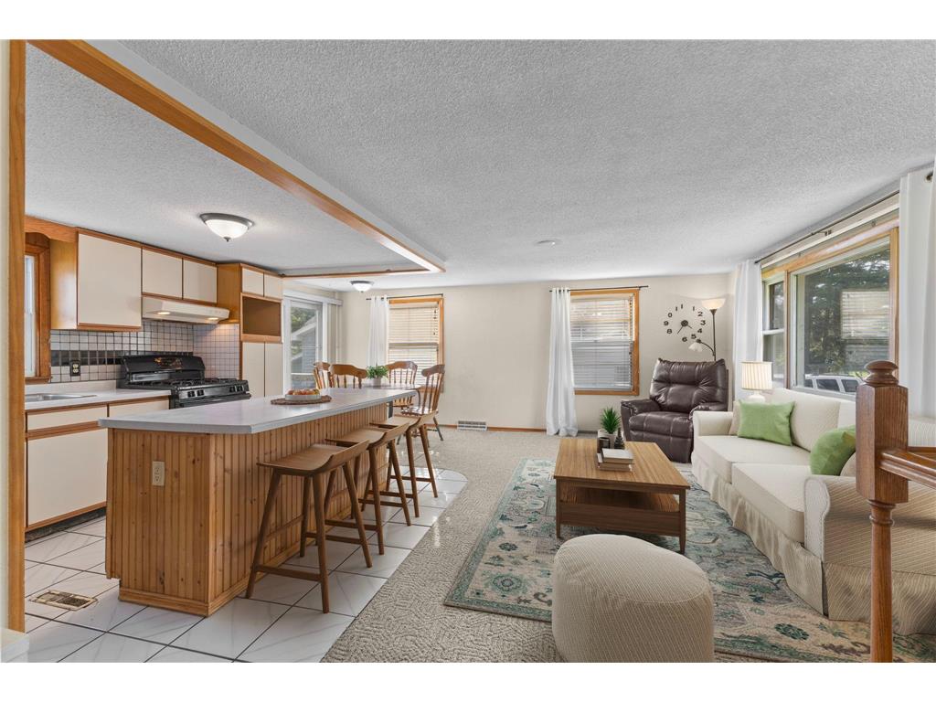 8144 242nd Lane NE Linwood Twp MN 55079 - Fawn 6784489 image1