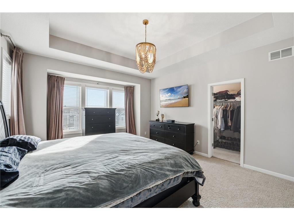 8146 Balsam Lane N Maple Grove MN 55369 7026347 image28