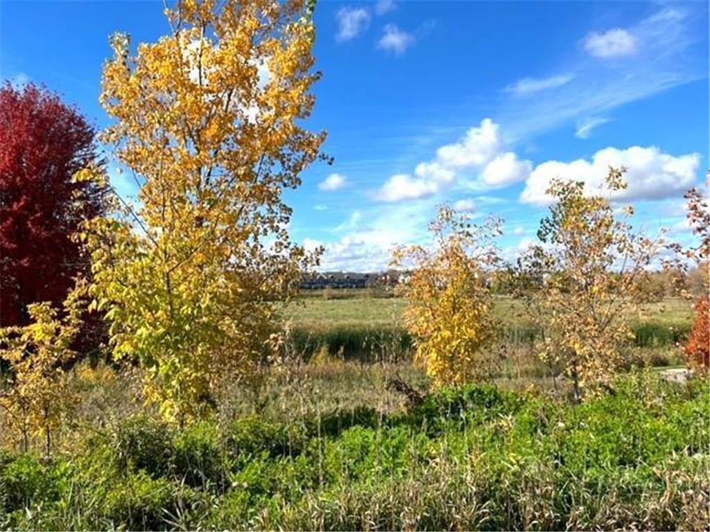 815 Meander Court Medina MN 55340 6802841 image16