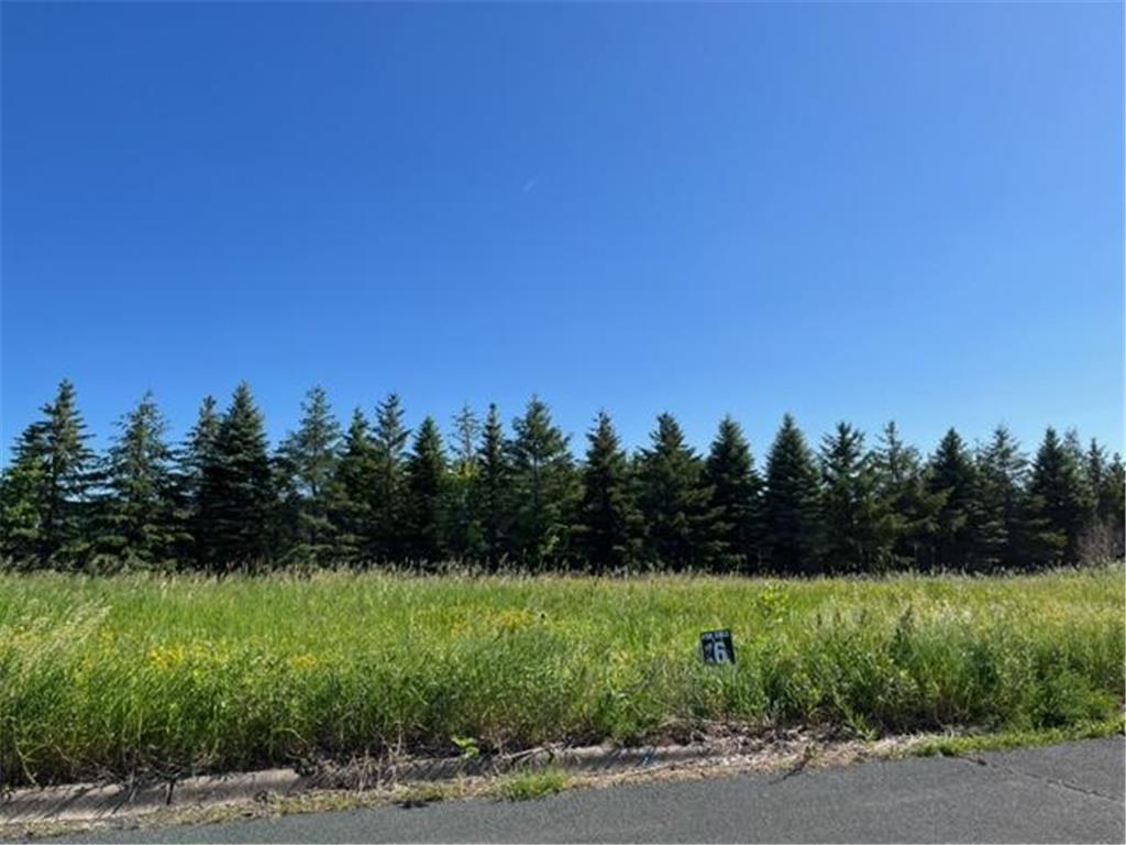 815 Meander Court Medina MN 55340 6802841 image18