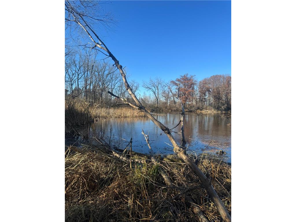 816 30th Street NW Faribault MN 55021 - Twin Lake 6808167 image7