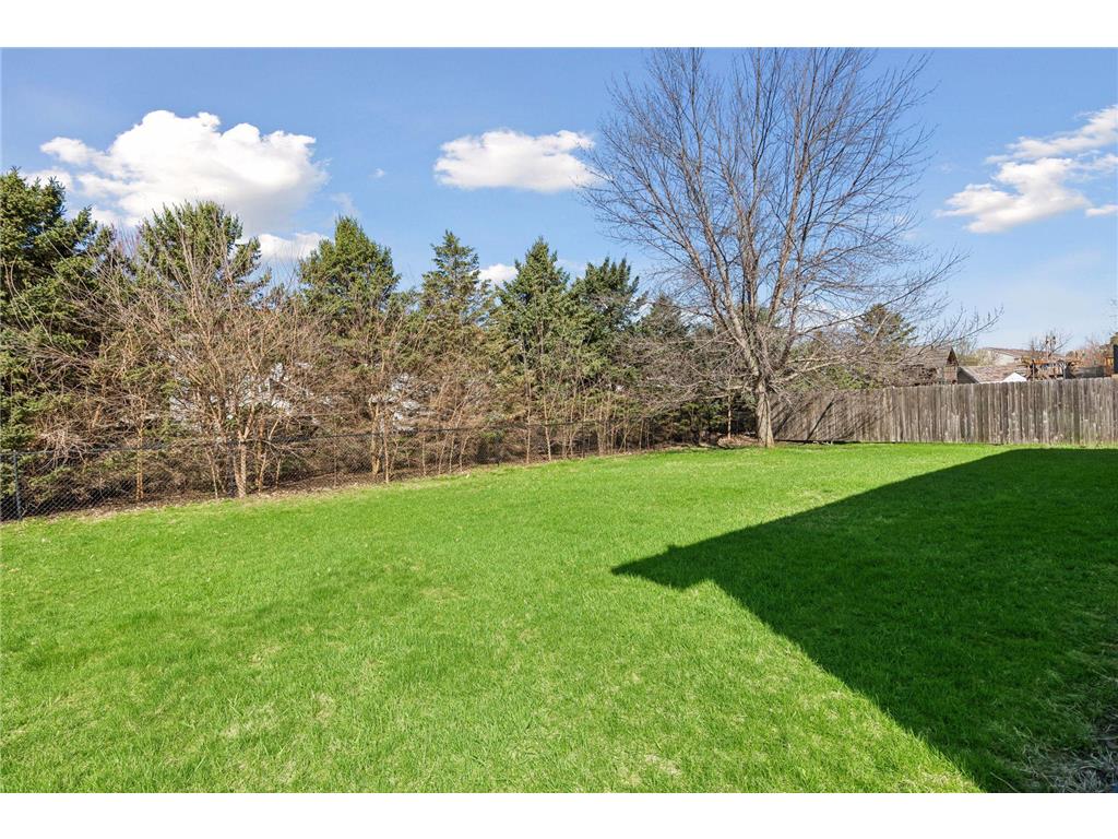 816 Shea Circle Belle Plaine MN 56011 7074634 image43