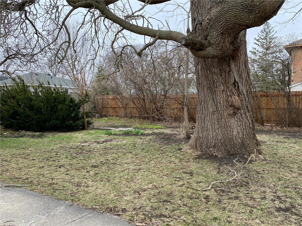 817 Abbott Street Albert Lea MN 56007 7049528 image37