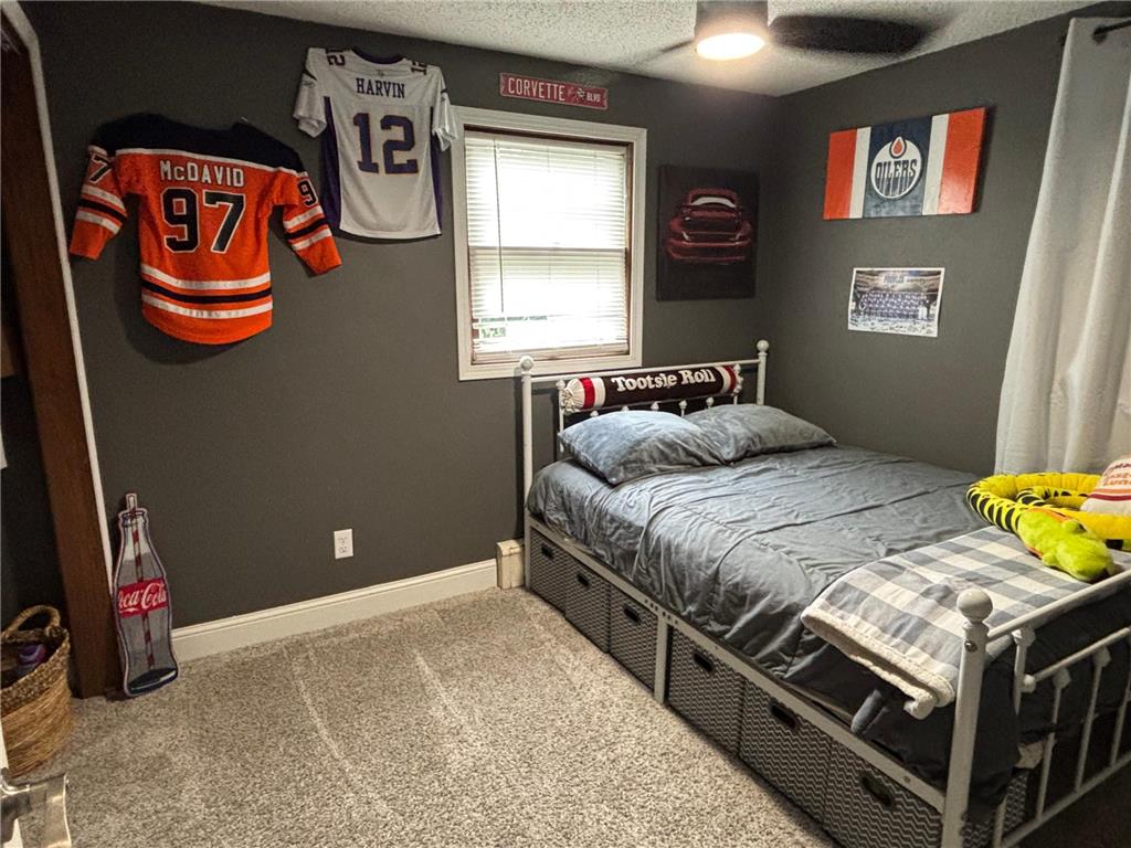 817 Alice Drive Thief River Falls MN 56701 7102847 image18