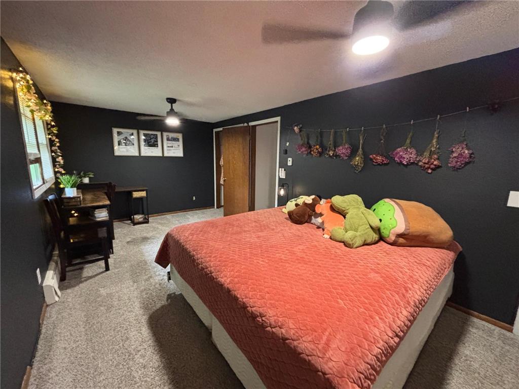 817 Alice Drive Thief River Falls MN 56701 7102847 image25