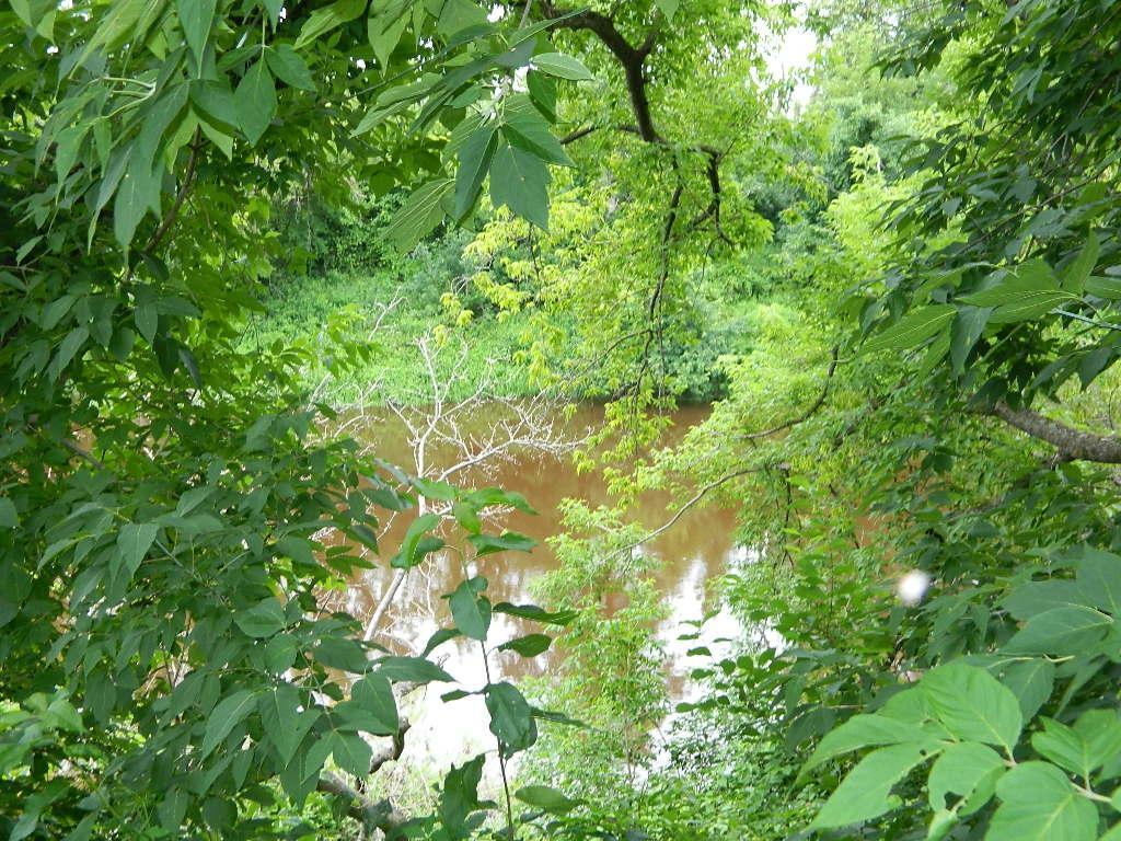 817 McPherson Street Littlefork MN 56653 - Little Fork River 6753816 image9