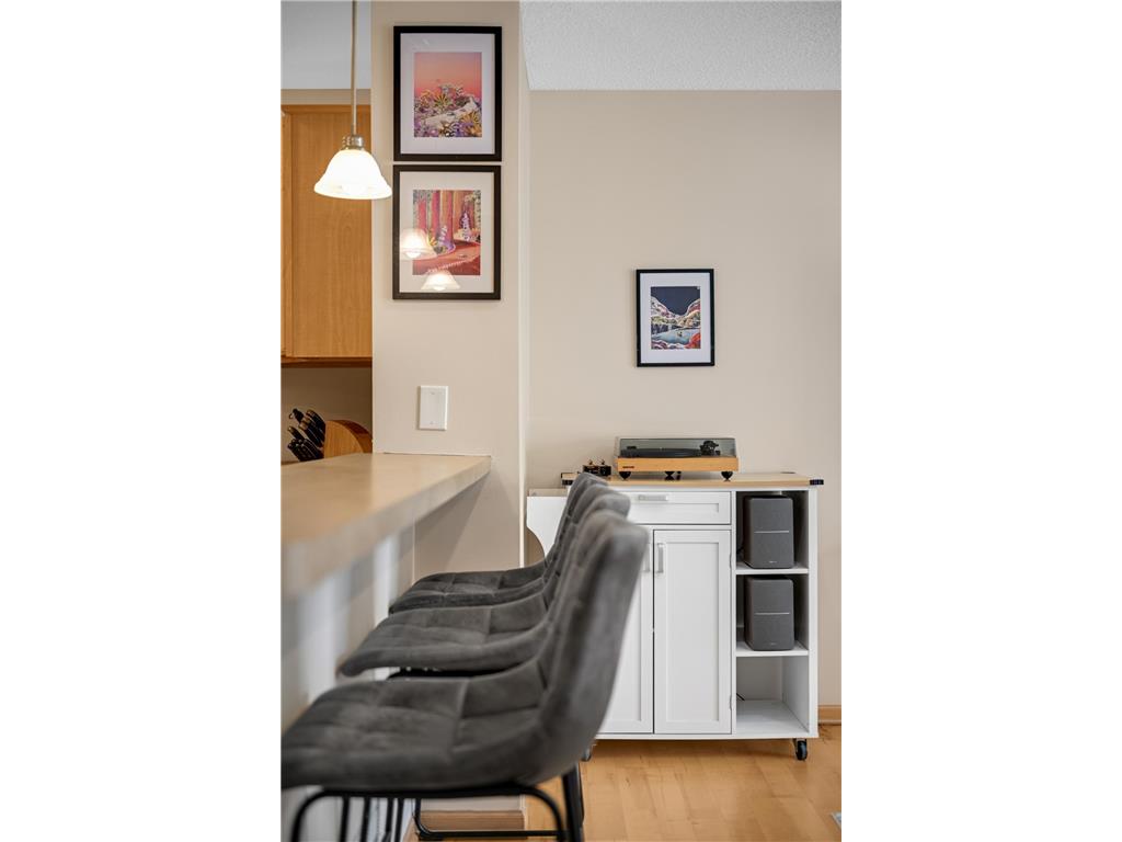 8173 Darcy Lane Inver Grove Heights MN 55076 7058956 image13