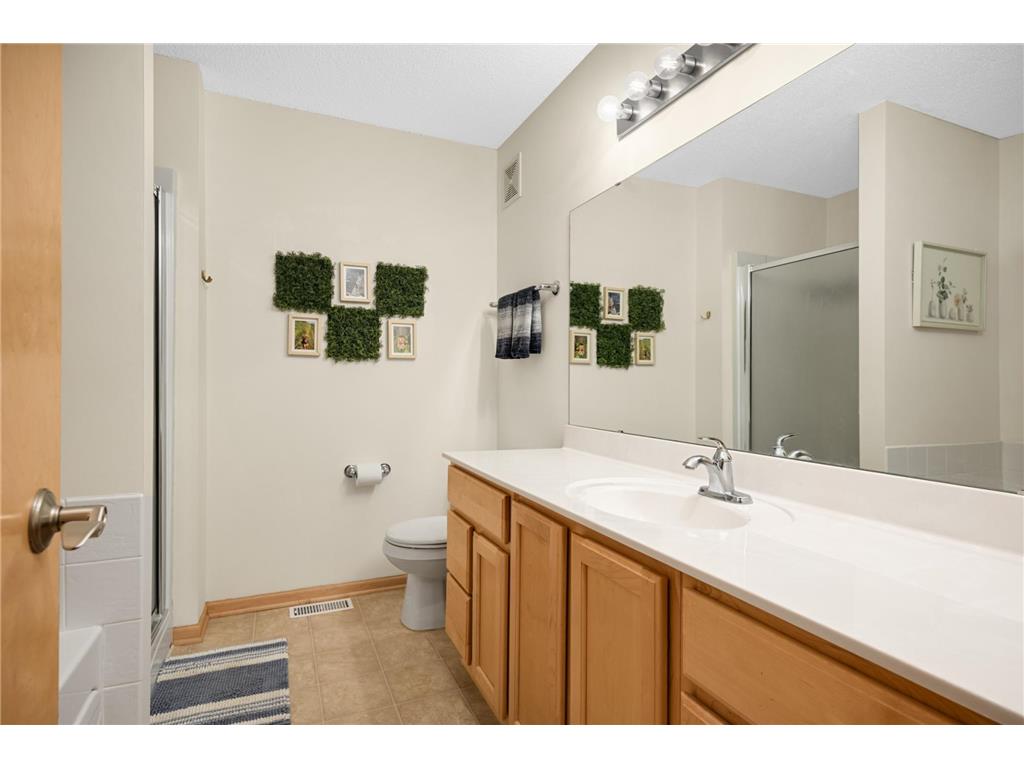 8173 Darcy Lane Inver Grove Heights MN 55076 7058956 image24