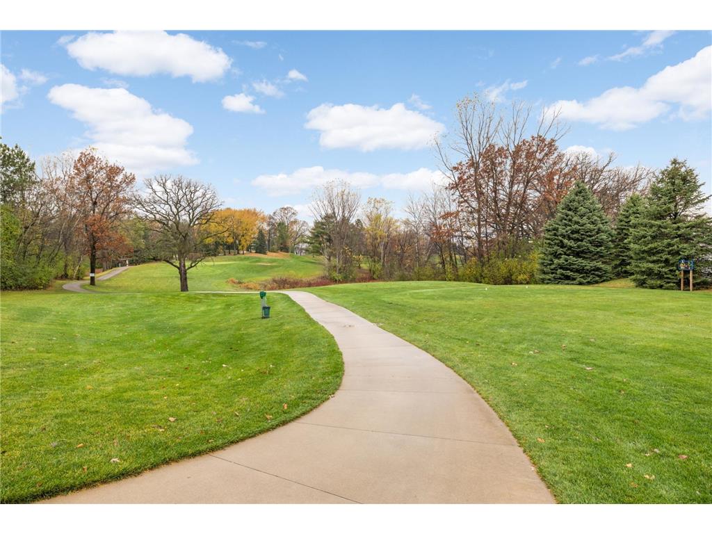 8173 Darcy Lane Inver Grove Heights MN 55076 7058956 image37