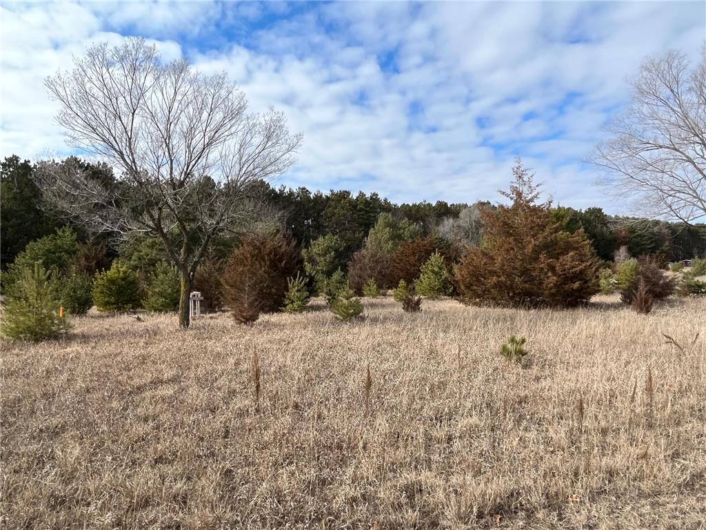 8174 159th Lane NW Ramsey MN 55303 6517847 image1