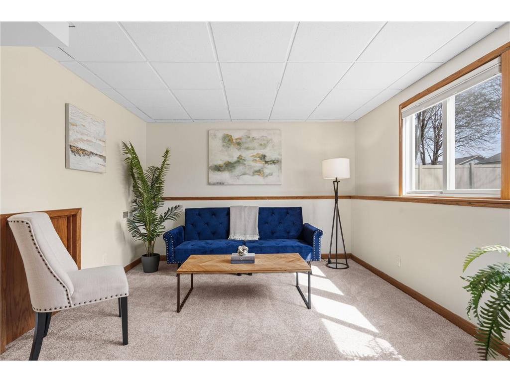 8175 Jensen Avenue S Cottage Grove MN 55016 7041271 image19