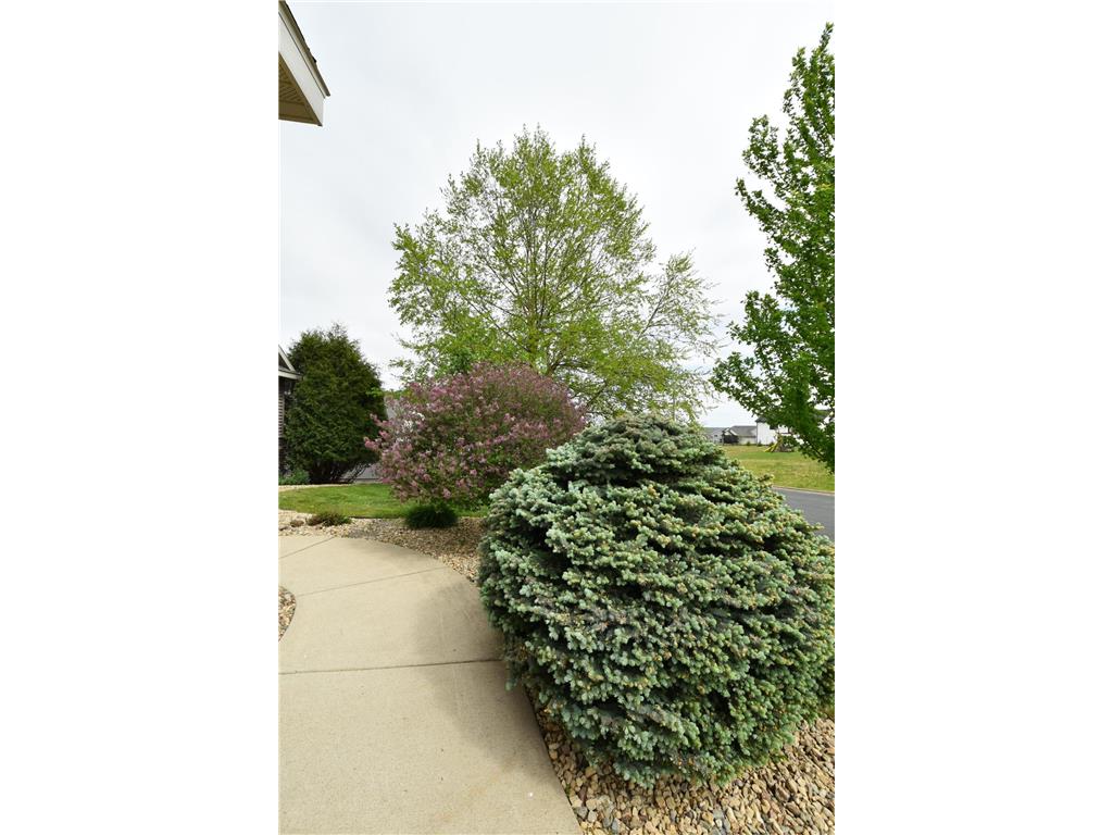 818 Augusta Avenue Zumbrota MN 55992 7075535 image37
