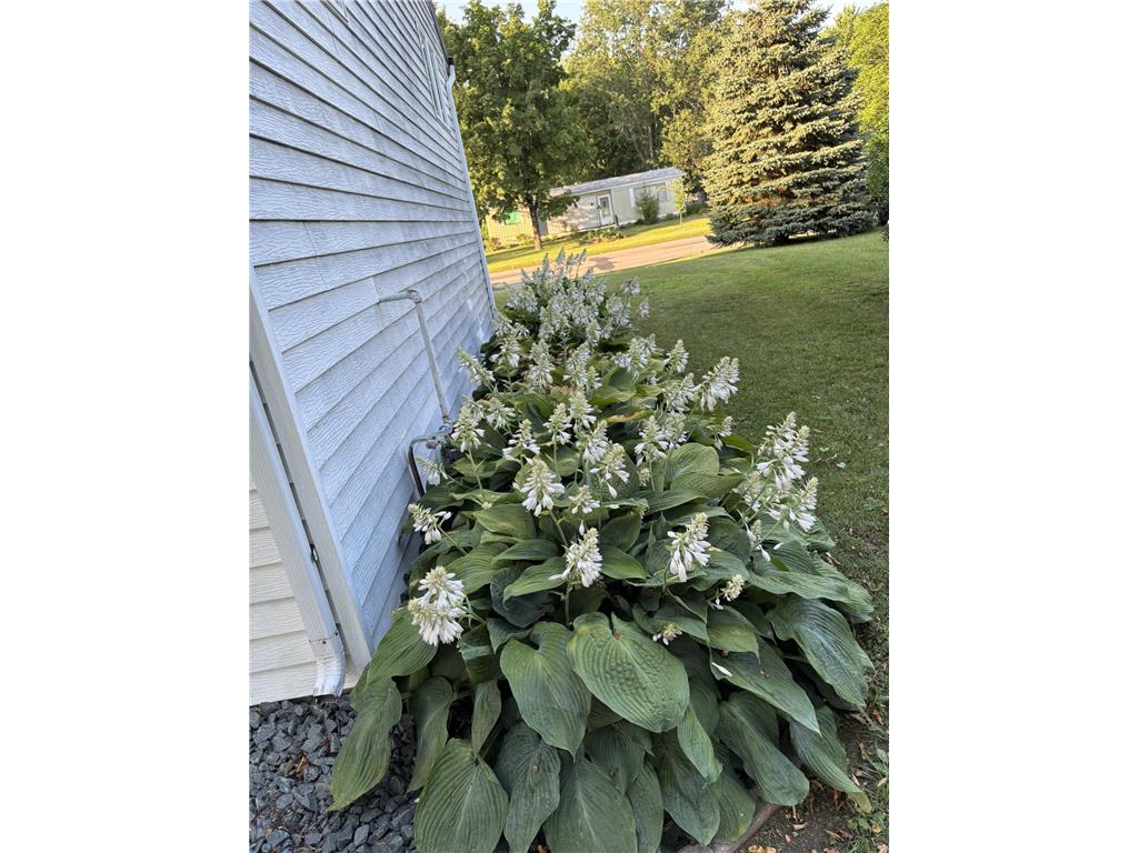 818 S 10th Street Lake City MN 55041 7030909 image6