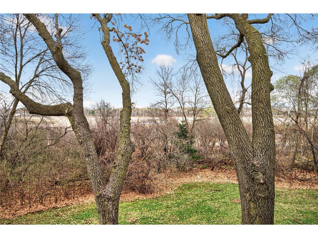 818 Sherwood Road Shoreview MN 55126 7058687 image5