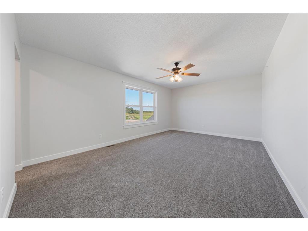 819 Viburnum Street Belle Plaine MN 56011 6773439 image25