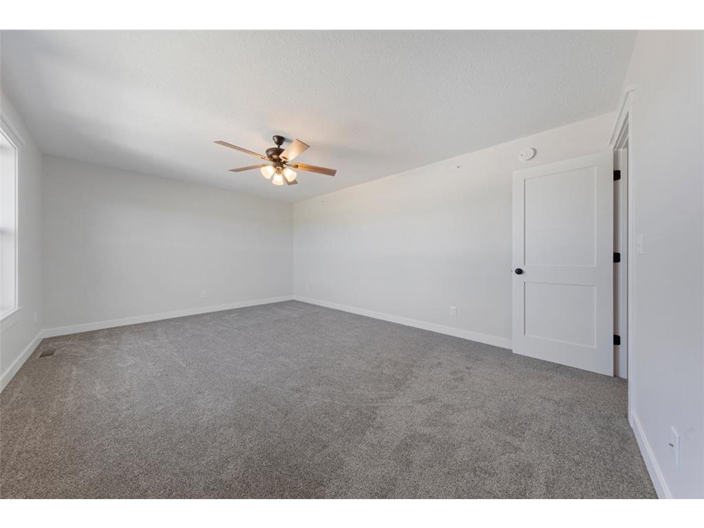 819 Viburnum Street Belle Plaine MN 56011 6773439 image28