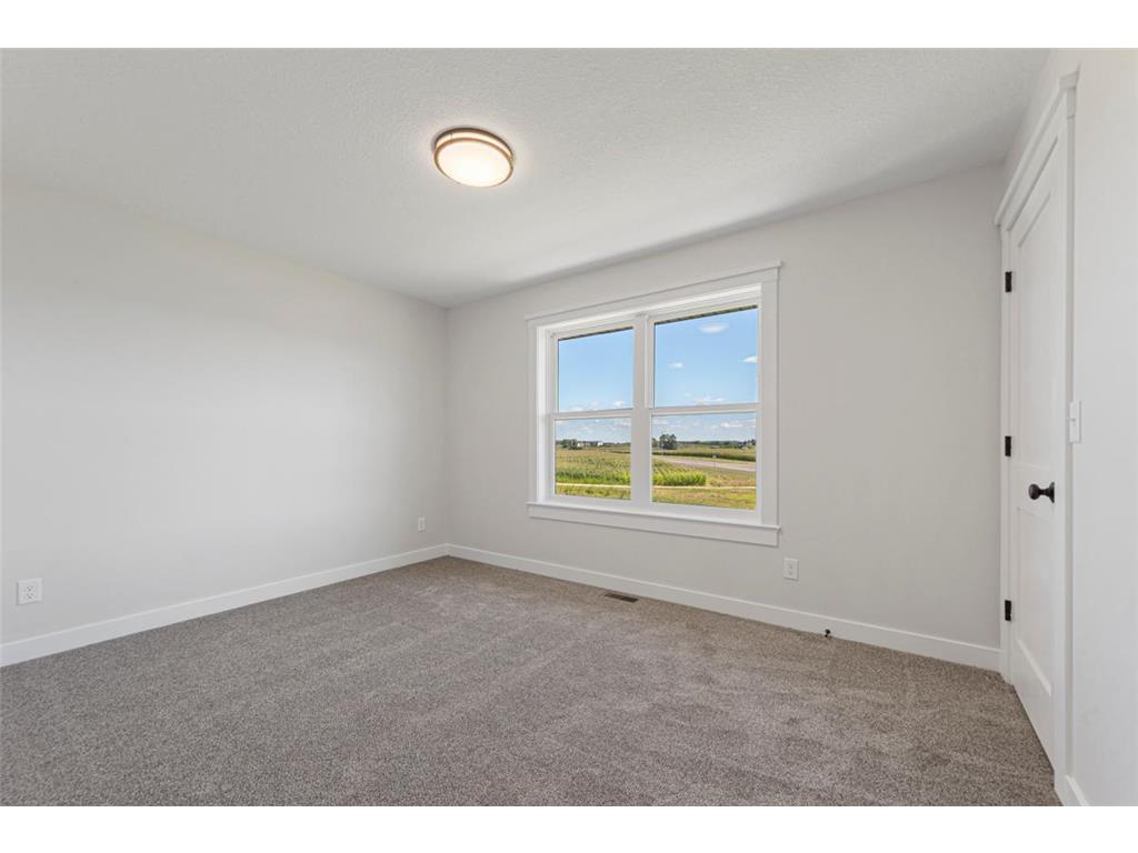819 Viburnum Street Belle Plaine MN 56011 6773439 image31