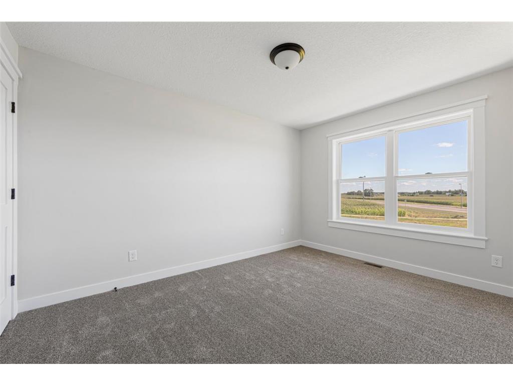 819 Viburnum Street Belle Plaine MN 56011 6773439 image35