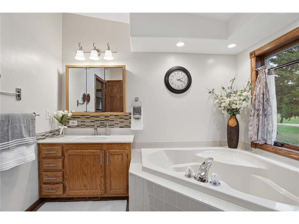 81990 558th Street Buffalo Lake MN 55314 - Preston 7061355 image20