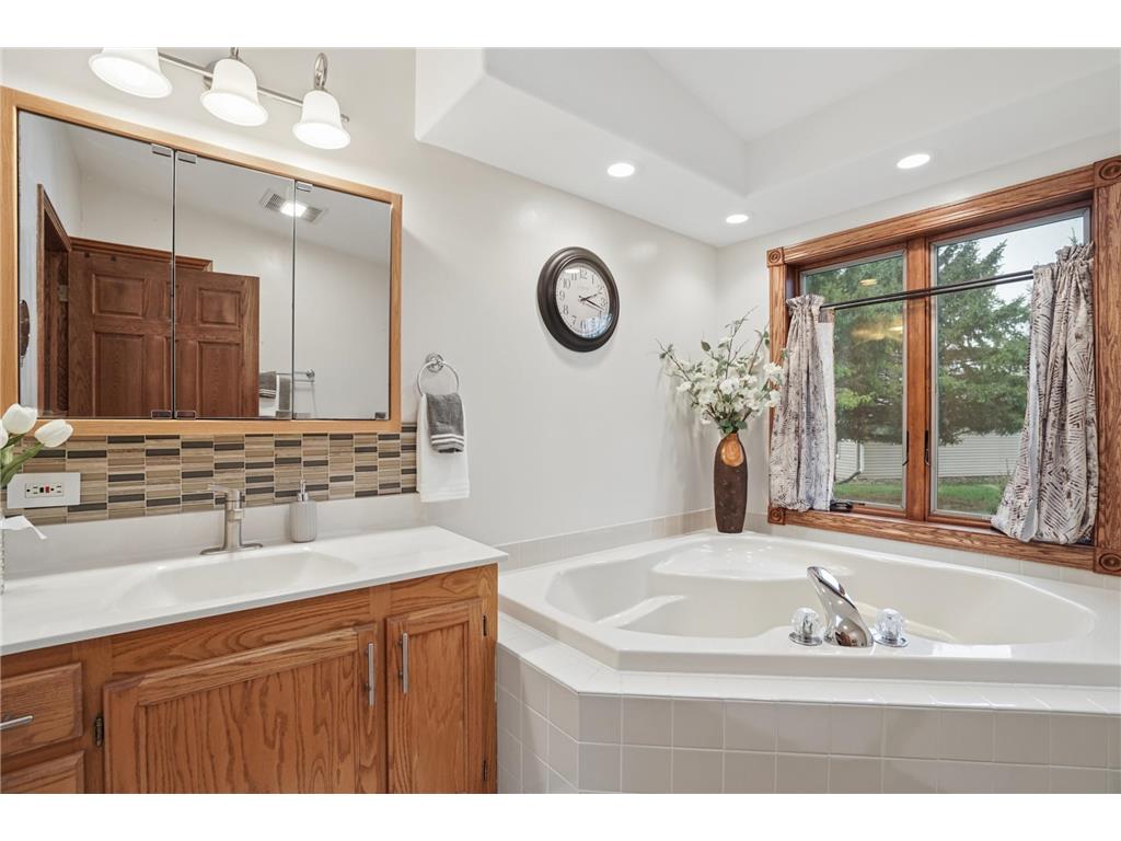 81990 558th Street Buffalo Lake MN 55314 - Preston 7061355 image21
