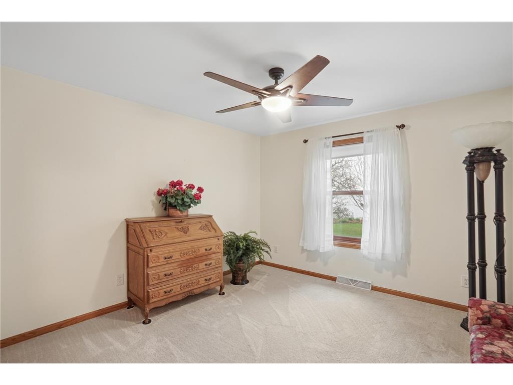 81990 558th Street Buffalo Lake MN 55314 - Preston 7061355 image23