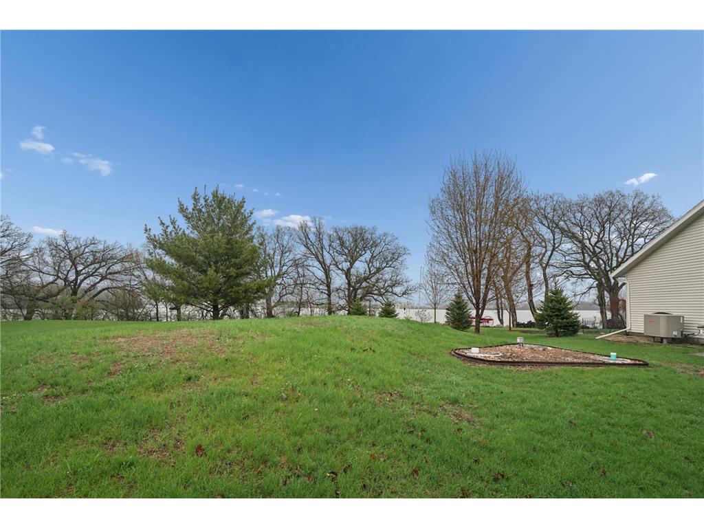 81990 558th Street Buffalo Lake MN 55314 - Preston 7061355 image38