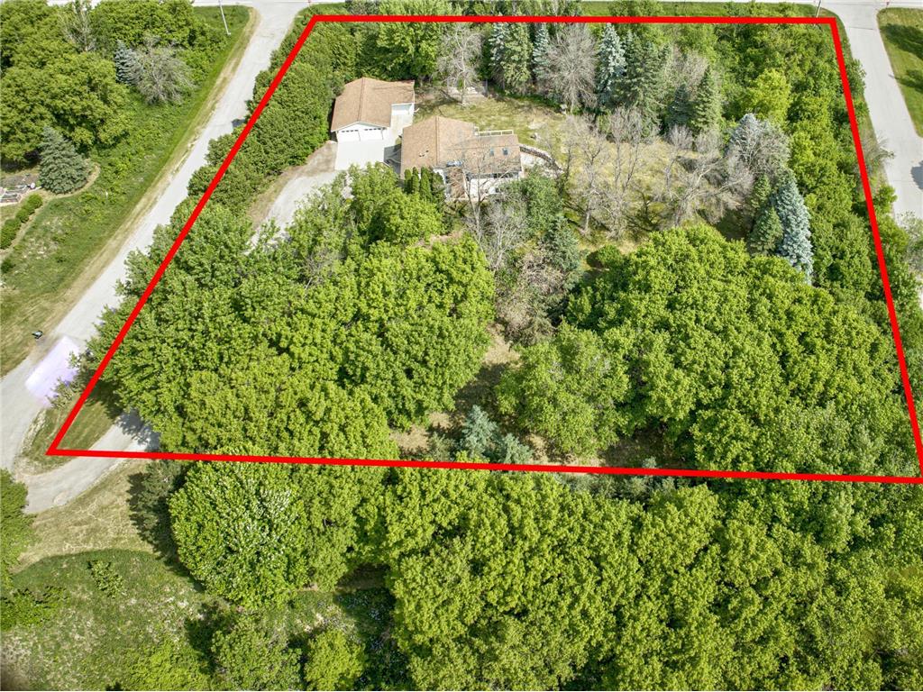 820 County Road 12 Mantorville MN 55955 6380729 image1