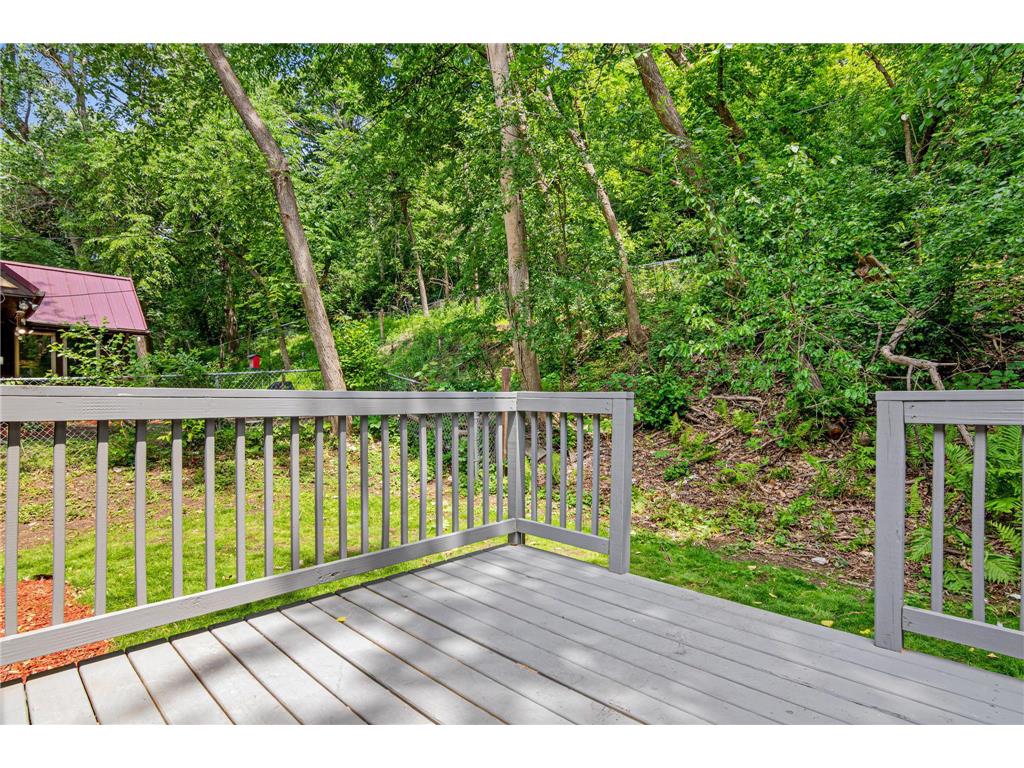 820 Point Douglas Road S Saint Paul MN 55119 - Pigs Eye 7076125 image20