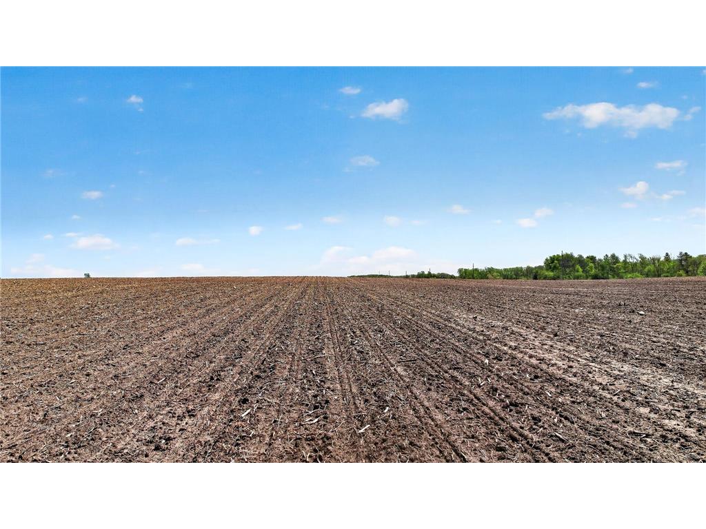 8200 County Rd 19 Corcoran MN 55340 7069260 image10