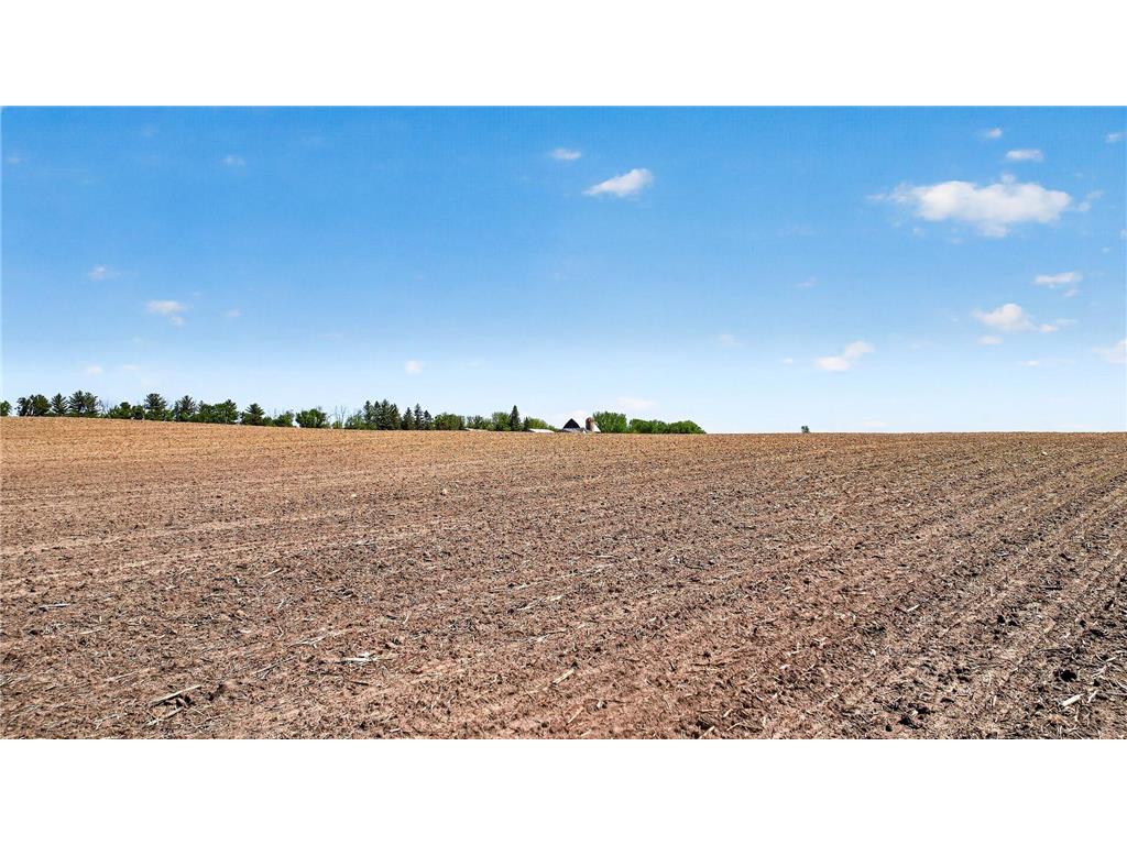 8200 County Rd 19 Corcoran MN 55340 7069260 image11