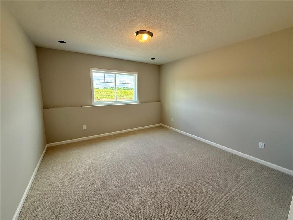 8204 Haywood Drive Lino Lakes MN 55014 7091298 image16