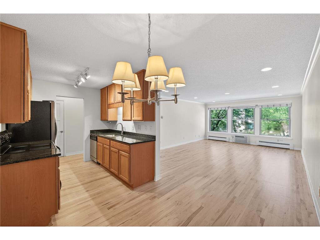 821 Douglas Avenue #204 Minneapolis MN 55403 6824703 image9