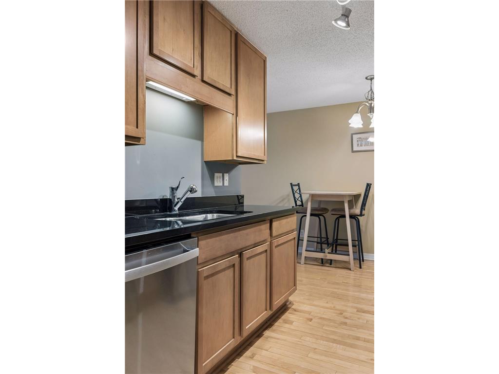 821 Douglas Avenue #205 Minneapolis MN 55403 7078441 image13