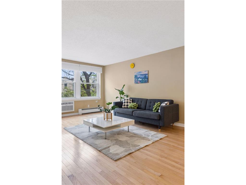 821 Douglas Avenue #205 Minneapolis MN 55403 7078441 image6