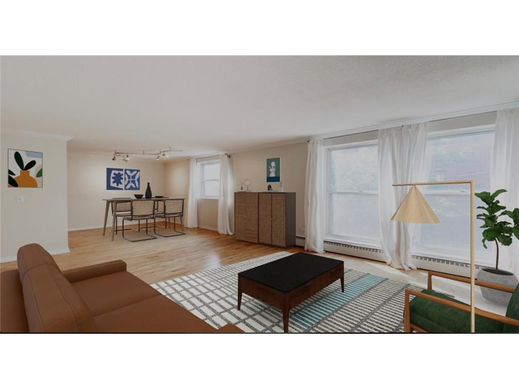 821 Douglas Avenue #206 Minneapolis MN 55403 6422488 image1