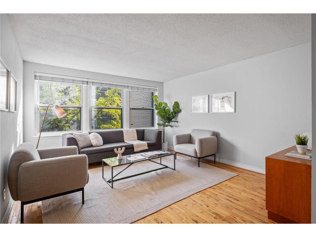 821 Douglas Avenue #207 Minneapolis MN 55403 6529679 image1
