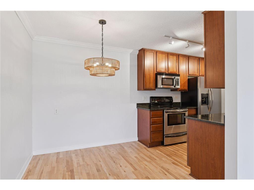 821 Douglas Avenue #304 Minneapolis MN 55403 6817208 image6