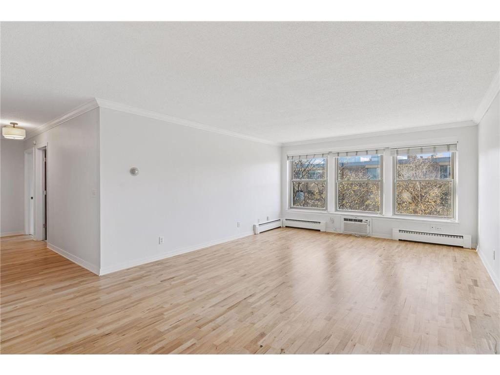 821 Douglas Avenue #304 Minneapolis MN 55403 7070784 image2
