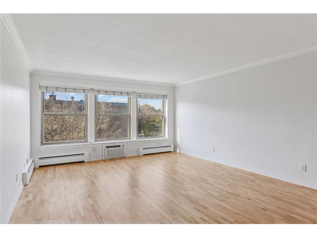 821 Douglas Avenue #304 Minneapolis MN 55403 7070784 image3
