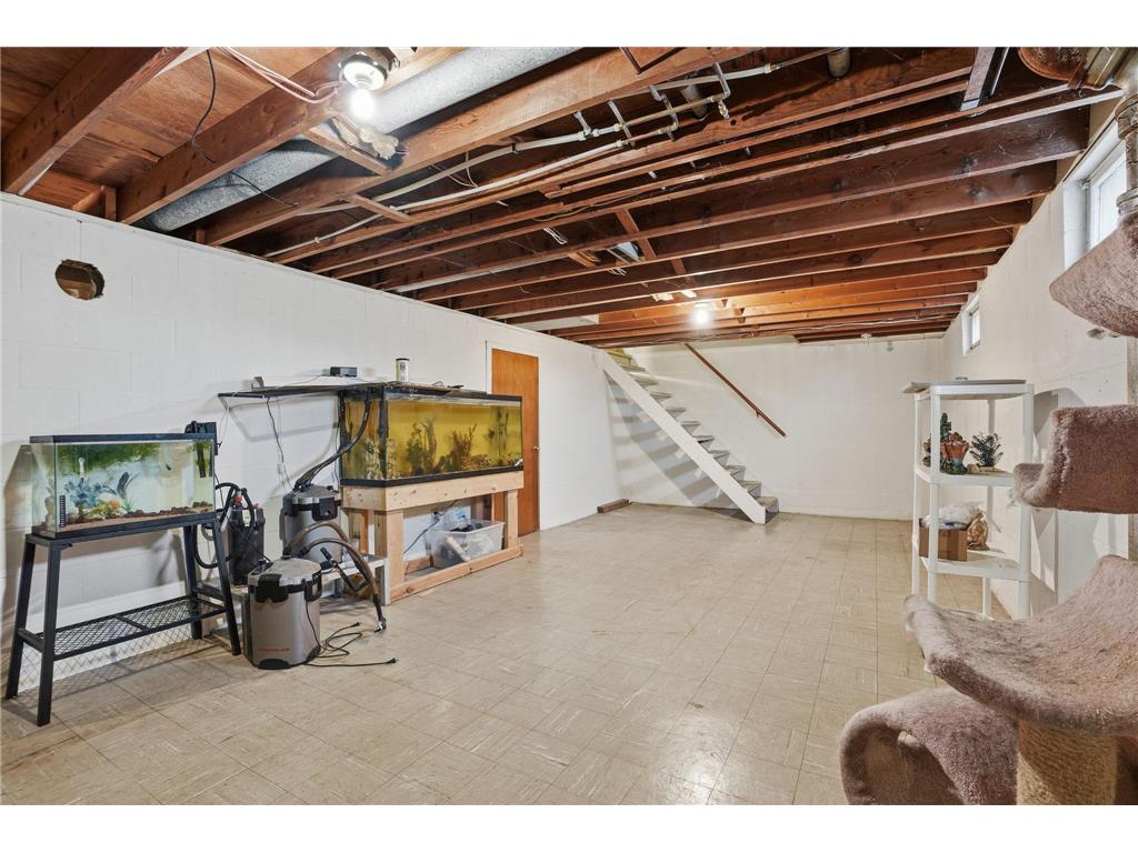 821 Elm Street W Norwood Young America MN 55368 7025209 image20