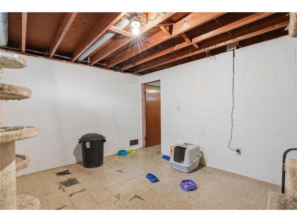 821 Elm Street W Norwood Young America MN 55368 7025209 image27