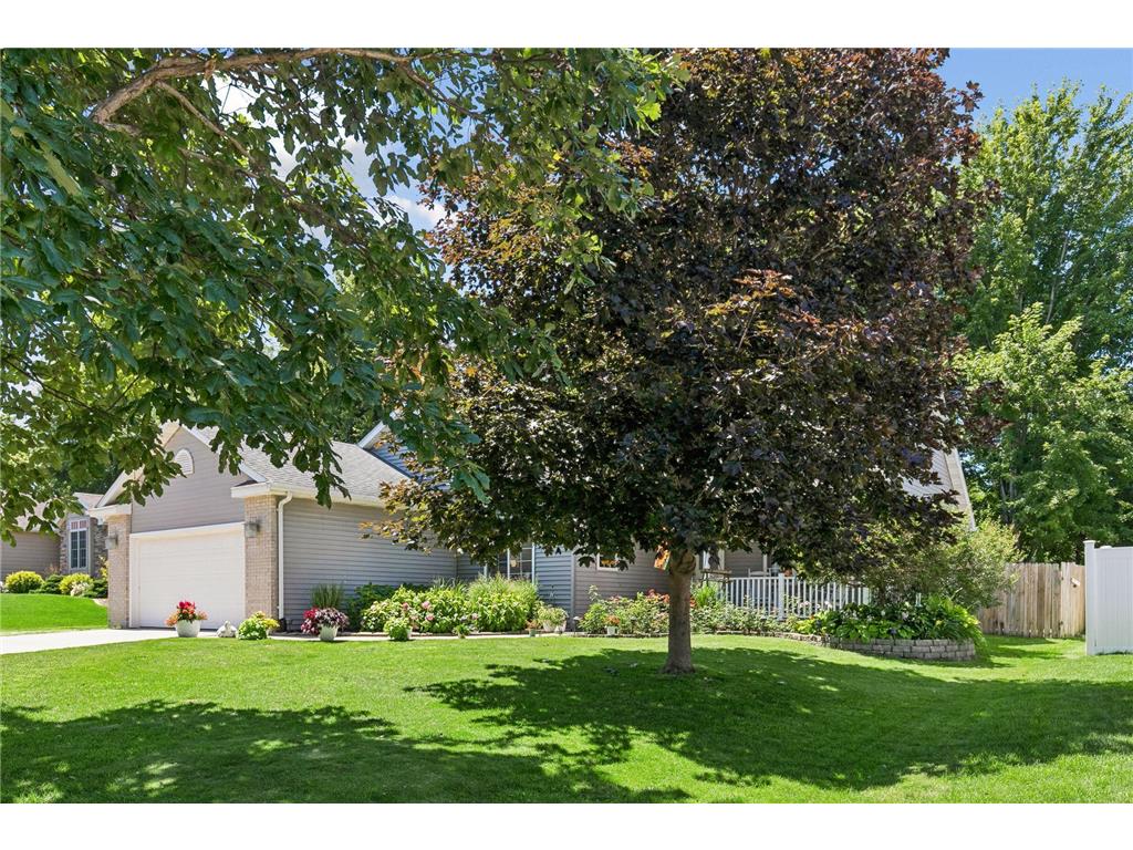 821 Lancer Drive NE Owatonna MN 55060 7101983 image4