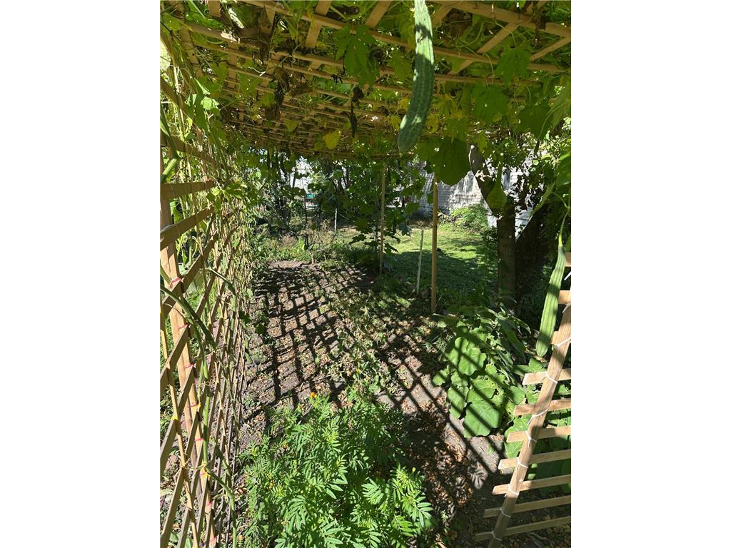 821 Madison Avenue Albert Lea MN 56007 6809333 image29