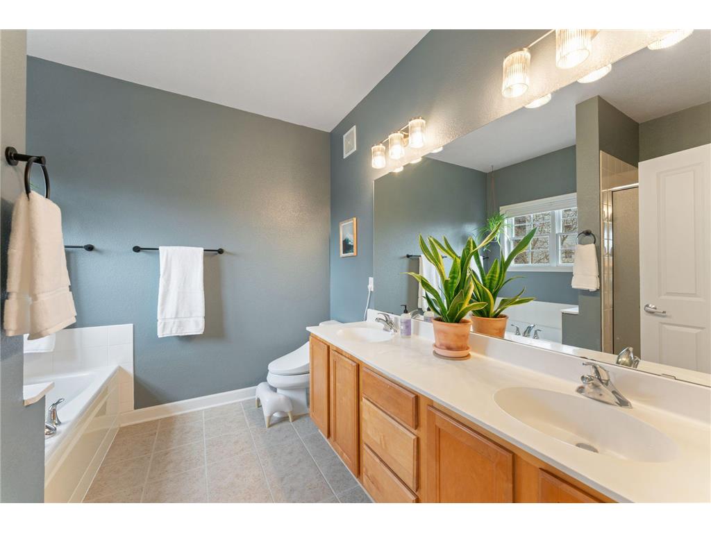 821 Thornton Street SE Minneapolis MN 55414 7045187 image29