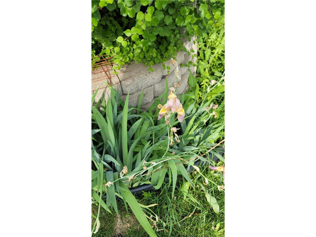 8214 32nd Place N Crystal MN 55427 6810944 image23